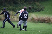 OTFL Gallery Image